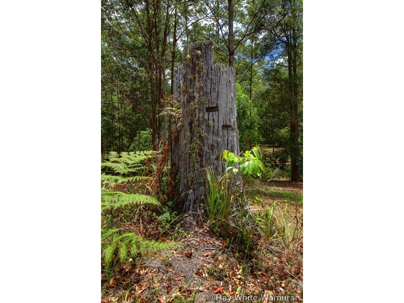 Woodford QLD 4514