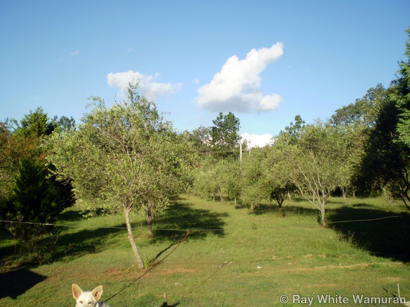Blackbutt North QLD 4306