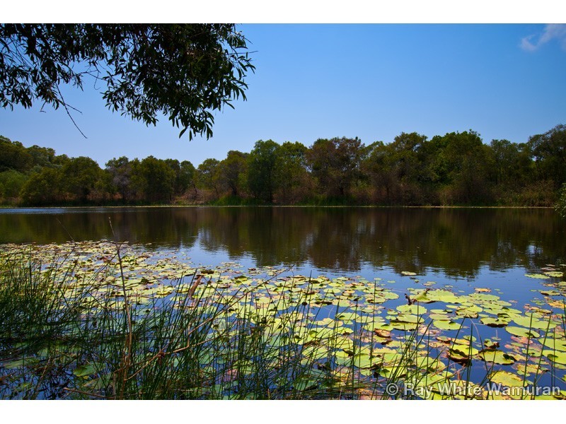 Wamuran QLD 4512