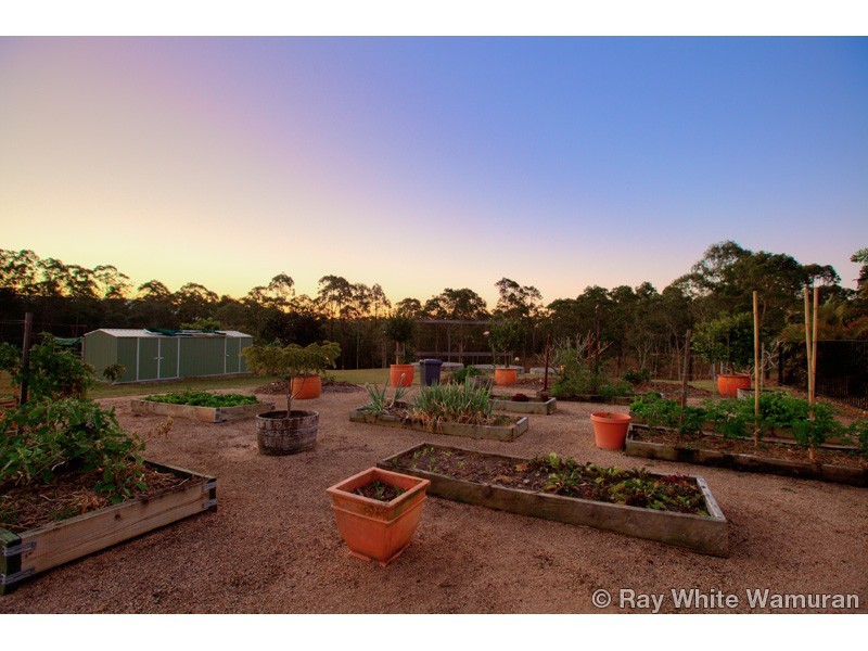 98 W Lindsay Road, Wamuran QLD 4512