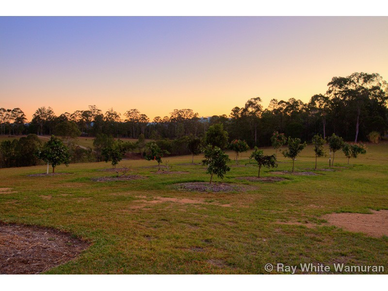 98 W Lindsay Road, Wamuran QLD 4512