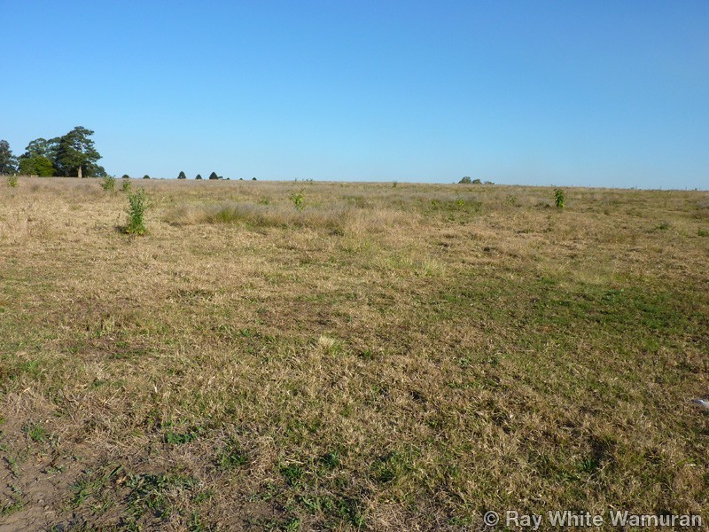 Wamuran QLD 4512