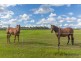 Wamuran QLD 4512