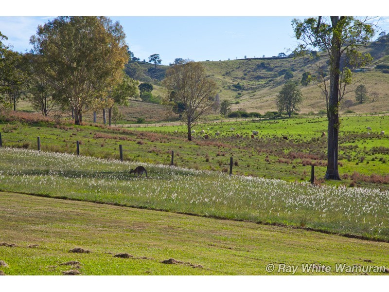 Delaneys Creek QLD 4514