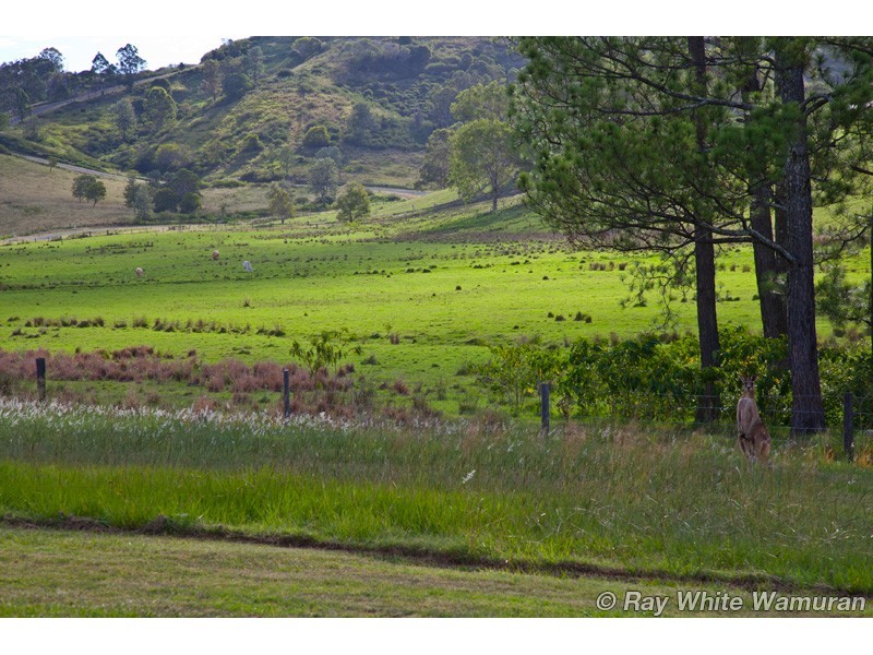 Delaneys Creek QLD 4514