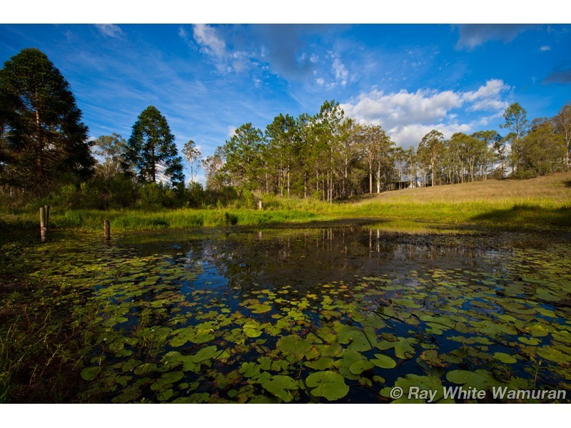 Delaneys Creek QLD 4514