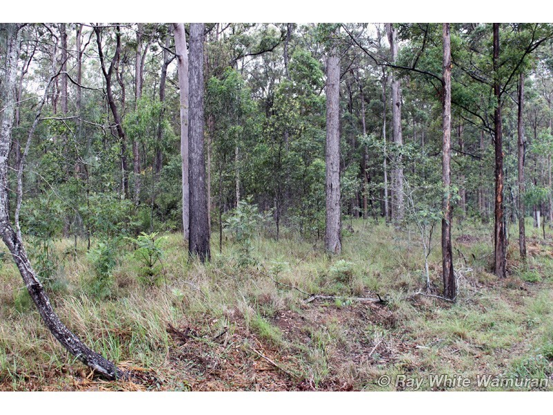 Blackbutt North QLD 4306