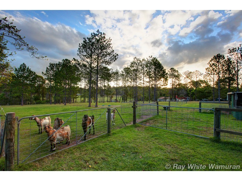 Delaneys Creek QLD 4514