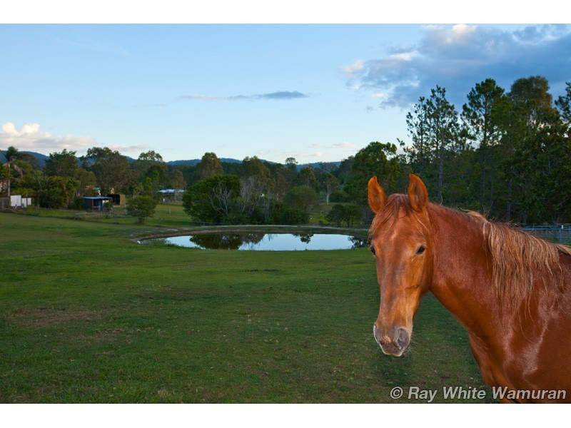 Delaneys Creek QLD 4514