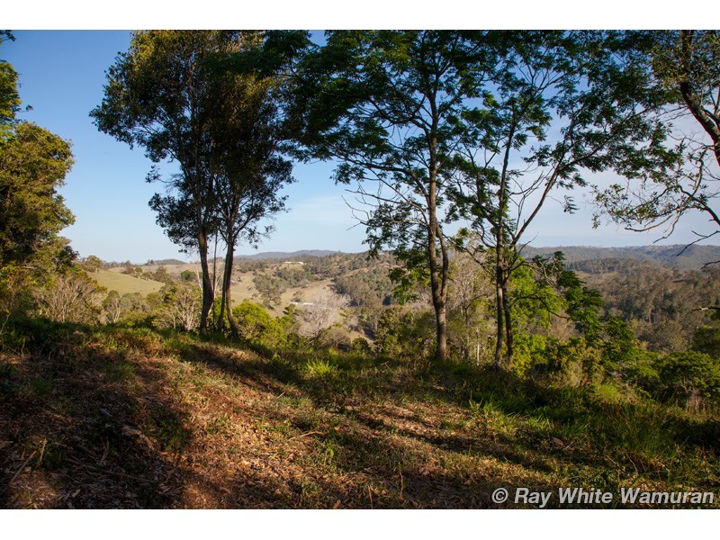 Delaneys Creek QLD 4514