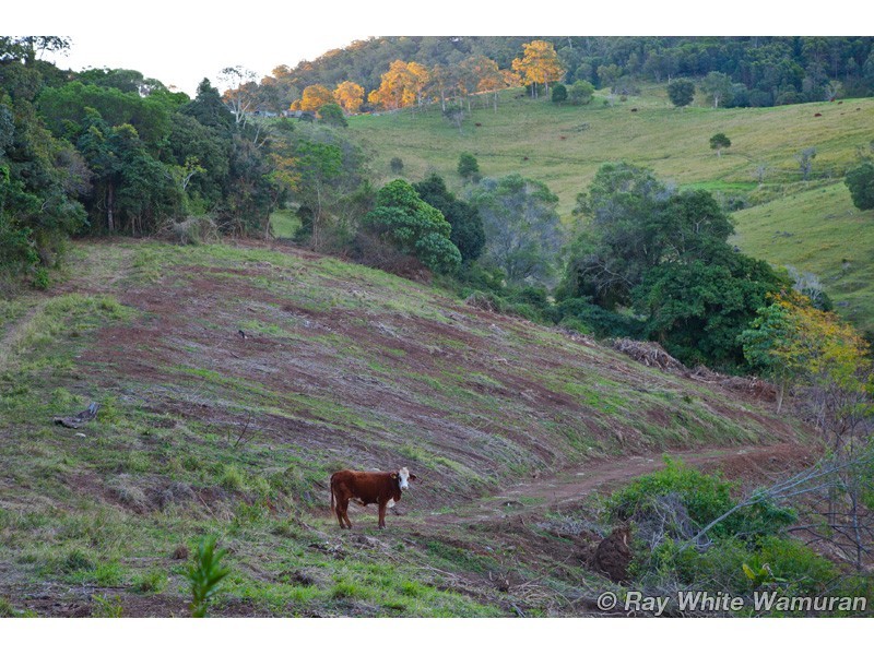 Delaneys Creek QLD 4514