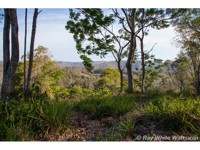 Delaneys Creek QLD 4514