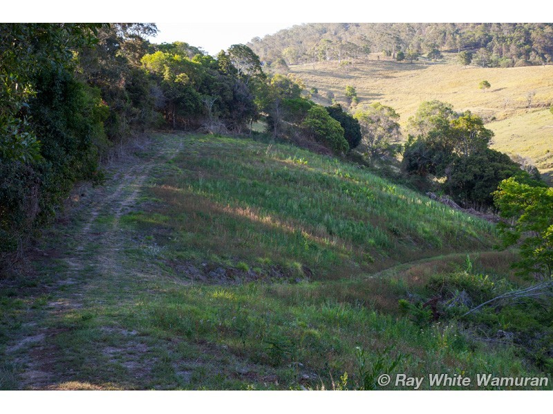 Delaneys Creek QLD 4514