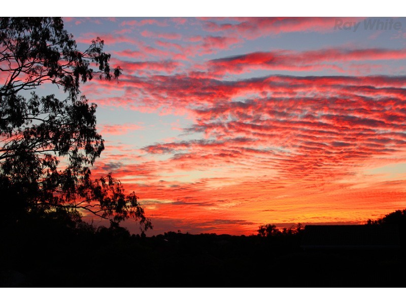 21 Carmody Court, Petrie QLD 4502