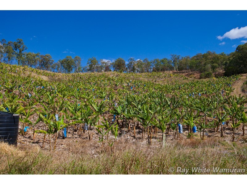 Rocksberg QLD 4510