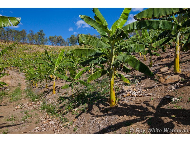 Rocksberg QLD 4510