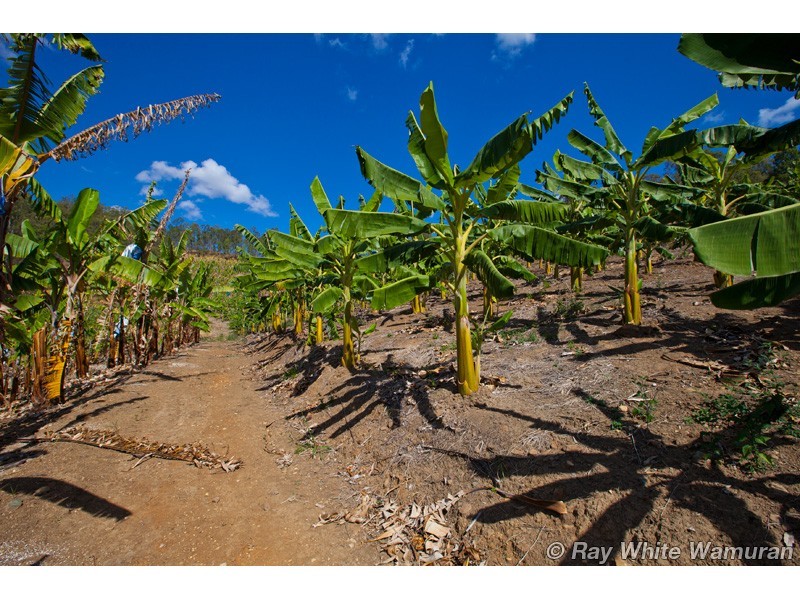 Rocksberg QLD 4510