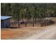 Rocksberg QLD 4510
