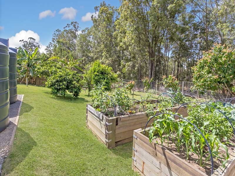 76 Station Road, Wamuran QLD 4512