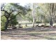 Woodford QLD 4514