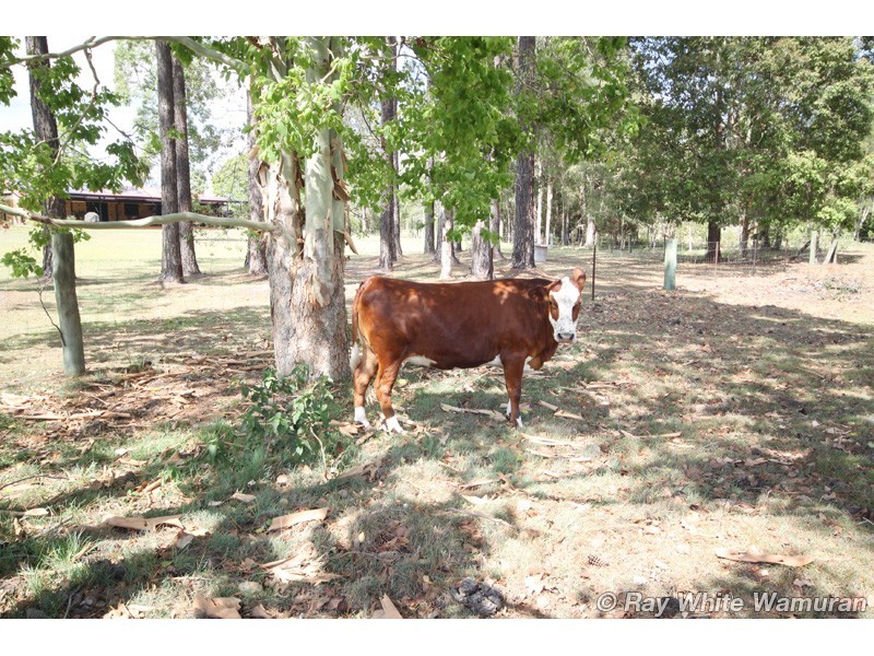Woodford QLD 4514