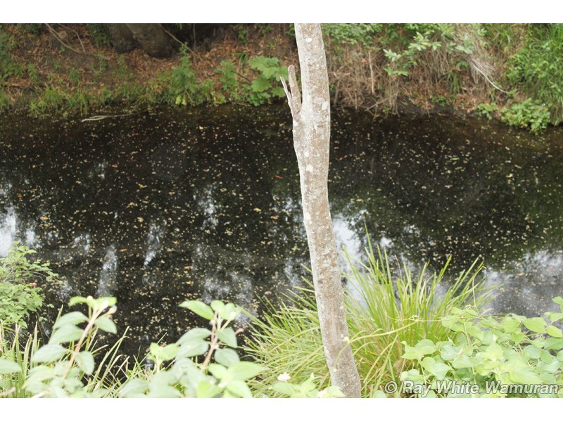 Delaneys Creek QLD 4514