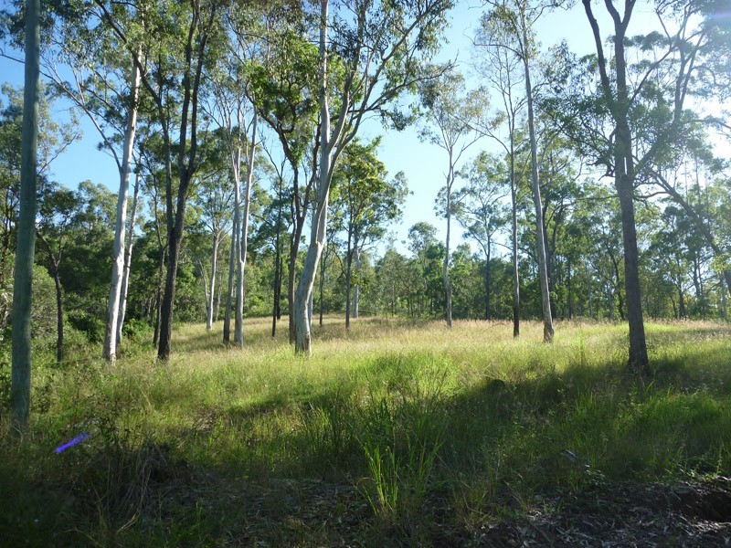 Moorina QLD 4506