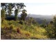 Wamuran QLD 4512