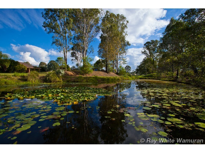 Wamuran QLD 4512