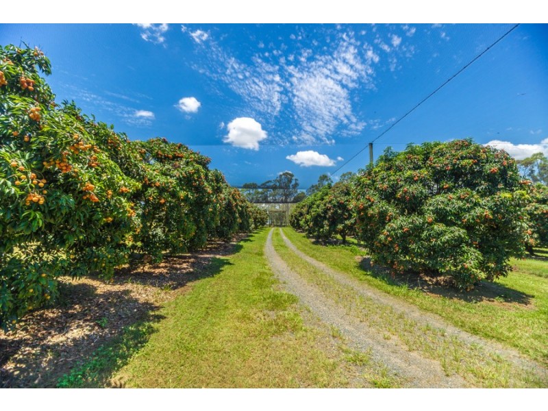 Wamuran QLD 4512