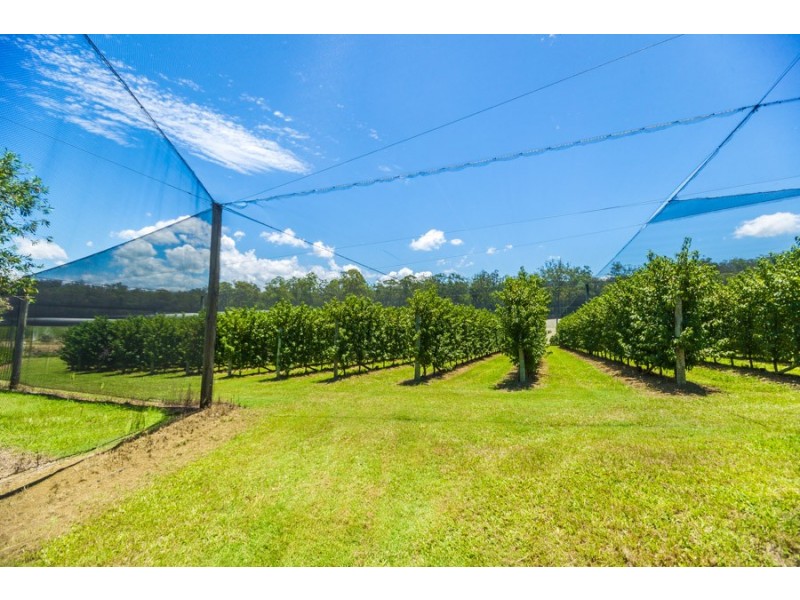 Wamuran QLD 4512