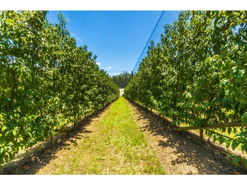 Wamuran QLD 4512