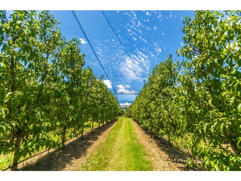 Wamuran QLD 4512