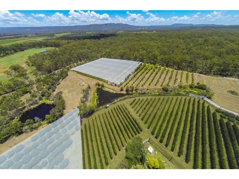 Wamuran QLD 4512
