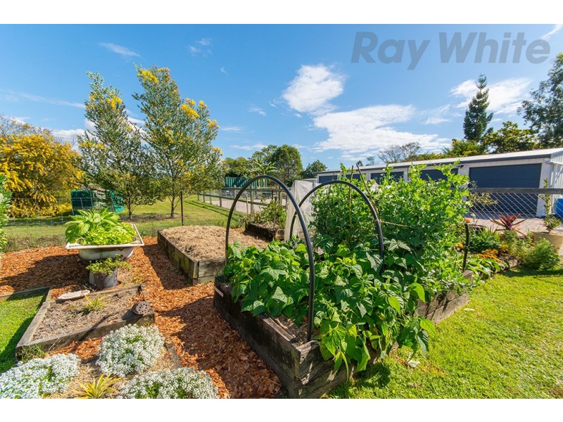 Wamuran QLD 4512
