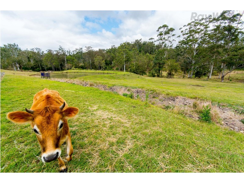 Delaneys Creek QLD 4514