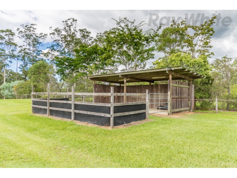 19 Felchow Court, Wamuran QLD 4512