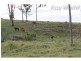 Woodford QLD 4514