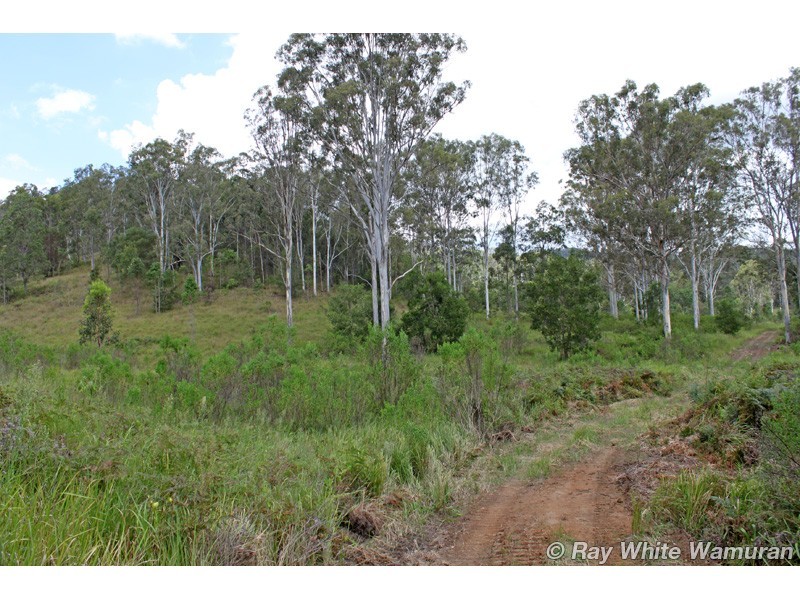 Delaneys Creek QLD 4514