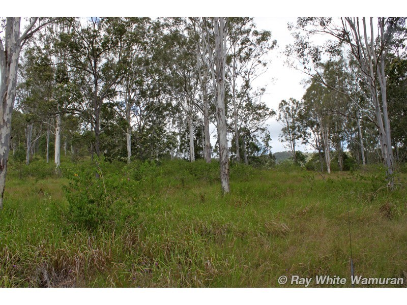 Delaneys Creek QLD 4514