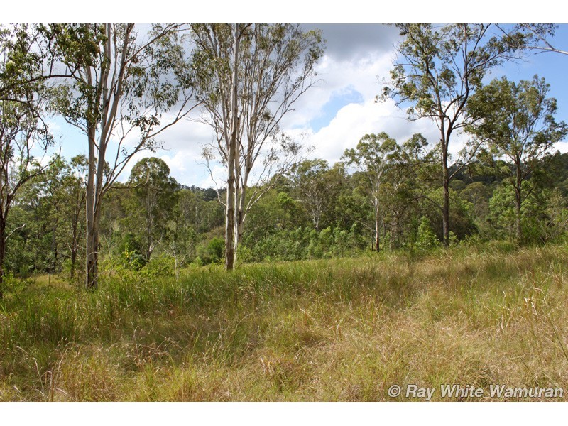Delaneys Creek QLD 4514