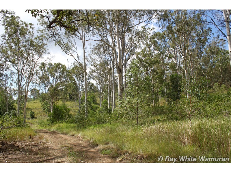 Delaneys Creek QLD 4514