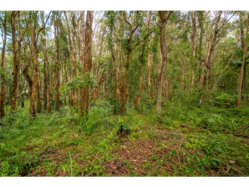 Wamuran QLD 4512