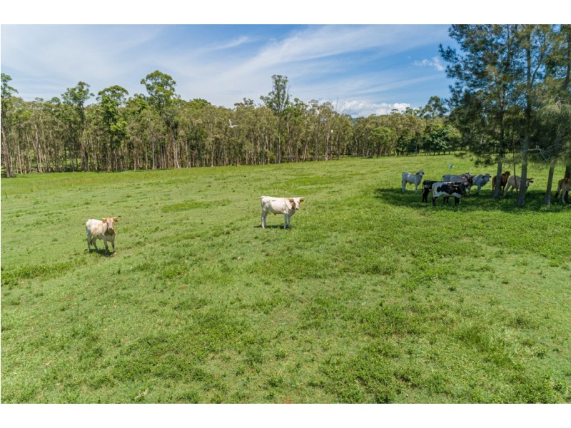 25 Lockart Road, Wamuran QLD 4512