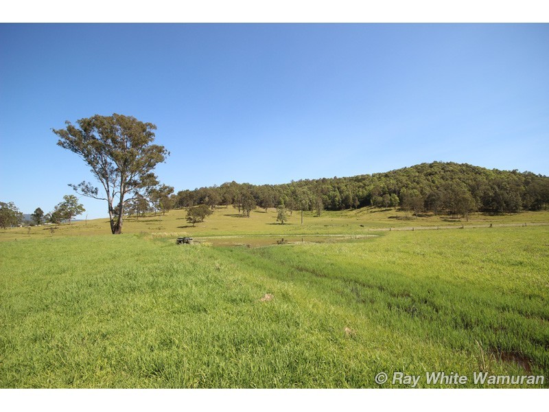 Sandy Creek QLD 4515