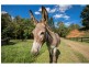 263 Basin Road, Wamuran Basin QLD 4512