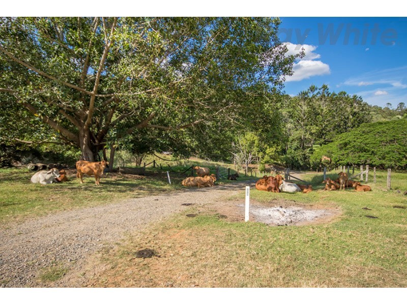263 Basin Rd, Wamuran Basin QLD 4512