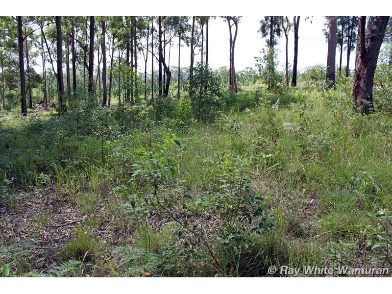 D’aguilar QLD 4514