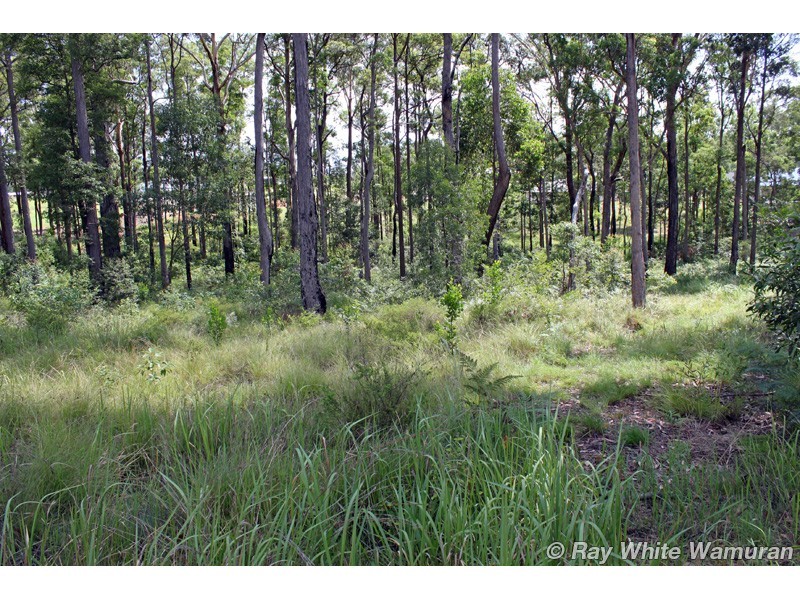 D’aguilar QLD 4514