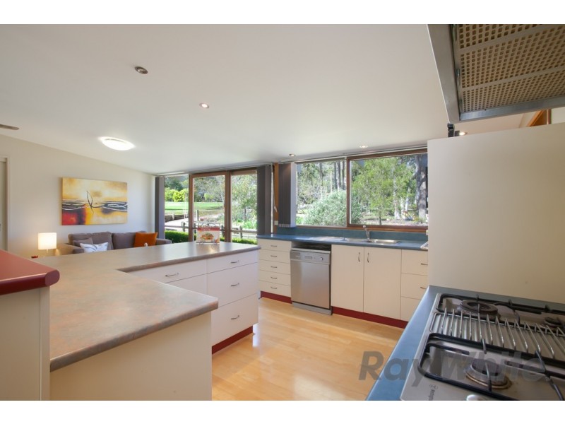 58 Ryan Road, Medowie NSW 2318